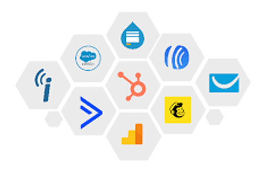 digital media buyers